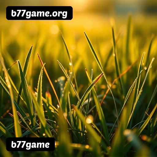 b77game PIX instantâneo Brasil - Depósito e saque em minutos 24/7